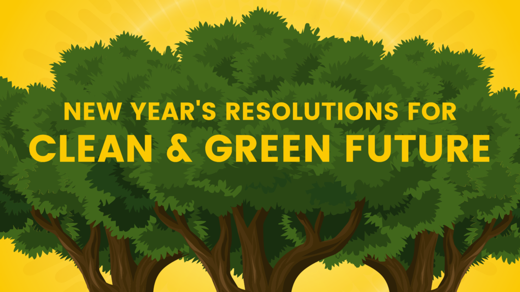 LR Energy New Year's Resolutions for a Clean & Green Future, Power Up with Solar Energy